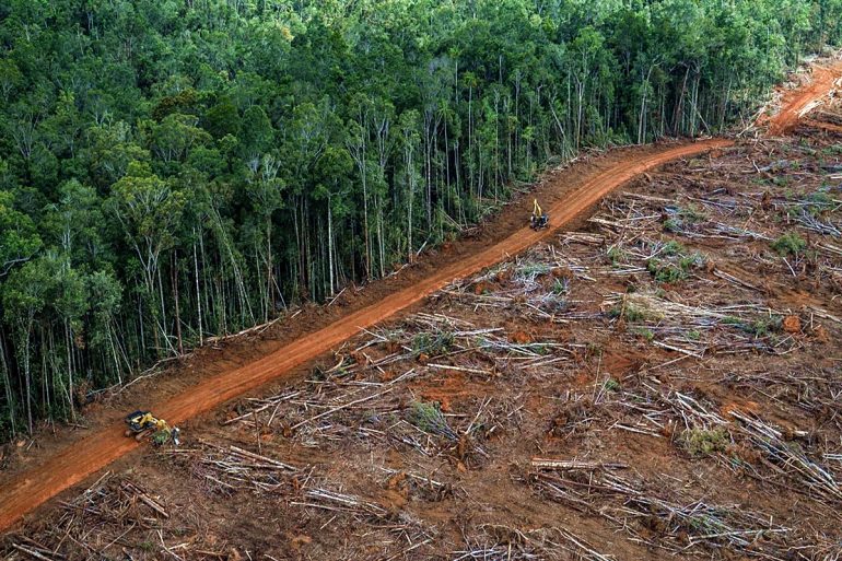 deforestazione in Amazzonia