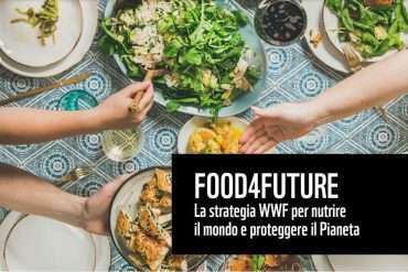 Food4future è la campagna WWF per scelte alimentari sostenibili