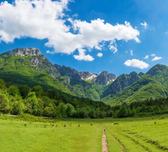 Uno dei parchi italiani è il Parco nazionale dell'Abruzzo