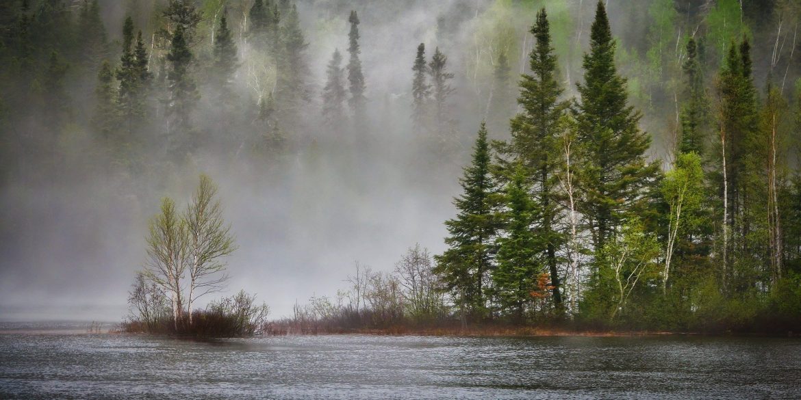 Biodiversità: fiume con foresta e nebbia